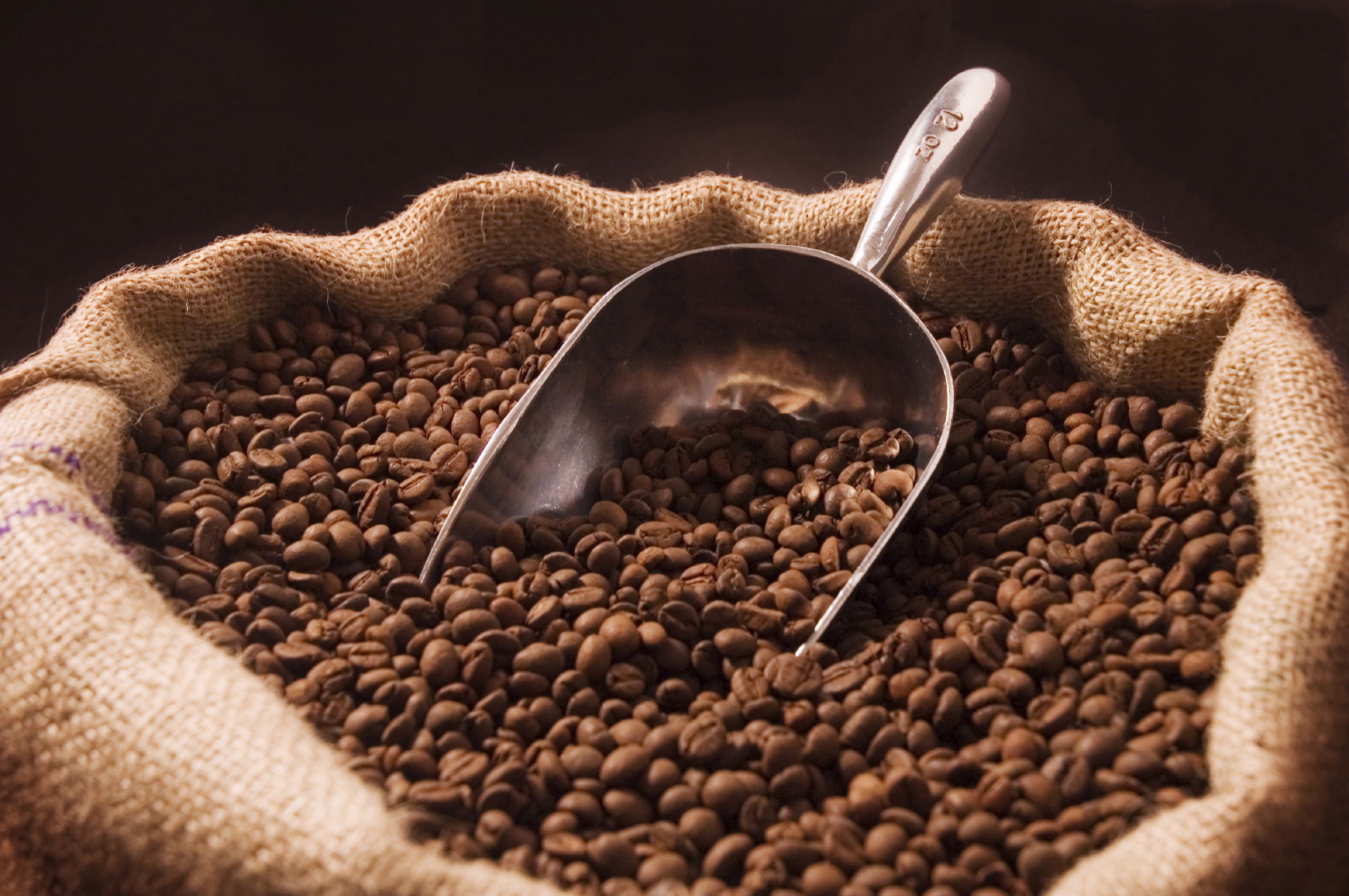 coffee commodity